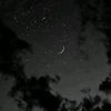 blackdragonfly04