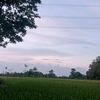 indrapratama2867