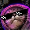 akking2436