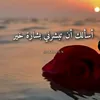 dffbbngbvc