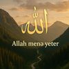liman733