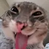 anhloicutekaka