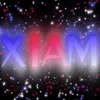 xiam2991