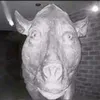 doomgamer123