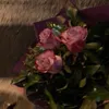 softievibes22