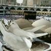 shahidasaleem700