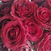 sherinomar03