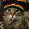 rastafaray.2