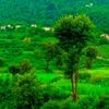 waheedullah0033
