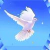 user3224206829310