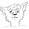 callumcoyote