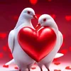 youssefalia2