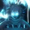 zakai_ae