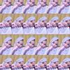 amellya662