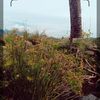 aysilaa031
