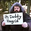daddy_hagrid3938