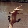 pumpkinhead473