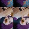 wdyaa.a_108