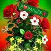user11056259701542