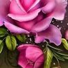 gladys.amparo.gav