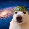lolbomboclat658