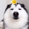 beauty cute