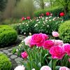 aye.aye.myint2673
