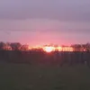 ahoibrause_123