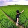 jaya_wijaya158