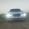 adam_02244