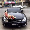 invl23