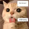 nguynnguyn7112
