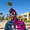 proviks_1