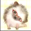 nesasukaadoii