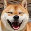 ohzasnh