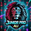 junior_pro_ali1