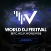 World DJ Festival JAPAN