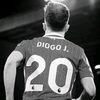 gol.d.ace194