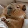 relaxingmoment12