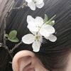 _pipi015