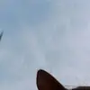 es_tes4