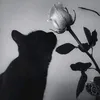 neko.0422