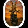 poderosorabbit0