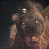 m.jawad.khan.302