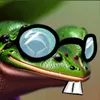 toadon_h3