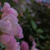 gudbnjm13