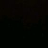 _sptyorkine