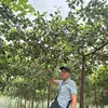 Anh kỹ sư quê miền tây