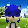 ecto.hegehog