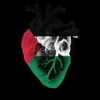 abdel.dz_95